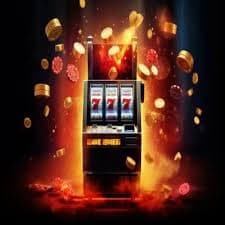 766 bet com